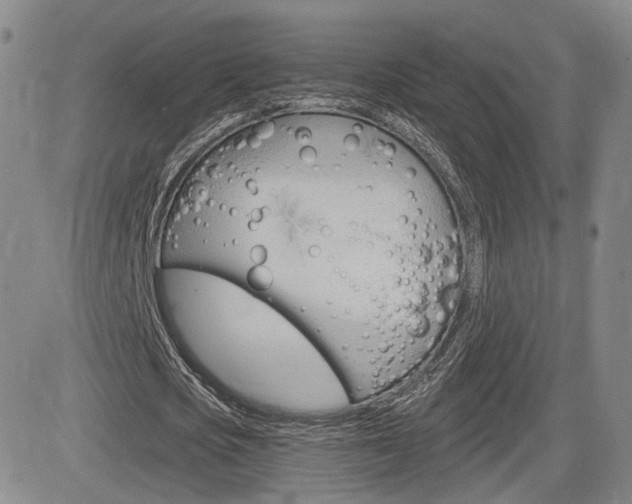 X0000084570721200702230909