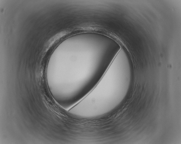 X0000084570723200702230909