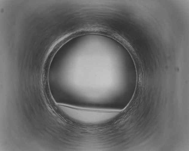 X0000084570724200702230909