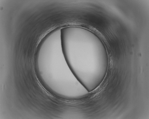 X0000084570725200702230909