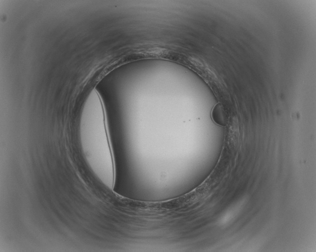 X0000084570739200702230909