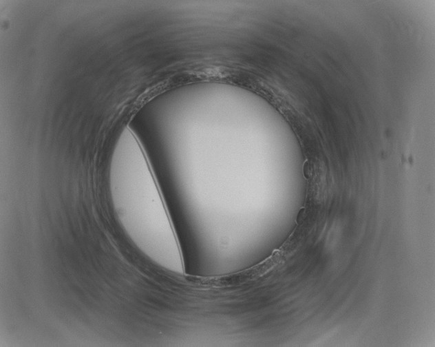 X0000084570747200702230909