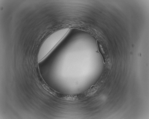 X0000084570756200702230909