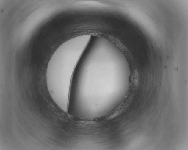 X0000084570763200702230909