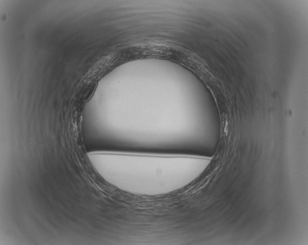 X0000084570771200702230909
