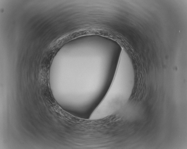 X0000084570773200702230909