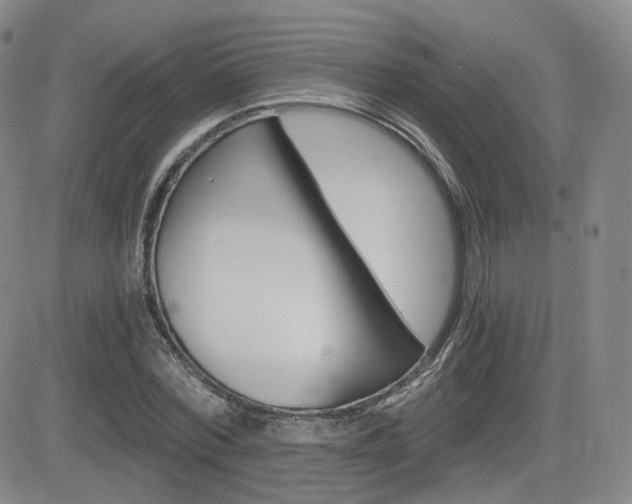 X0000084570780200702230908