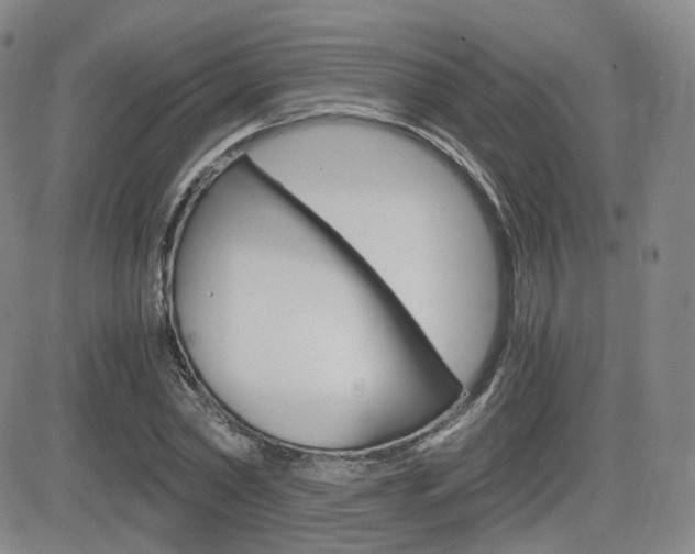 X0000084570782200702230908