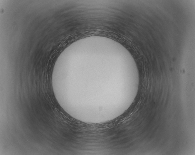 X0000084570818200702230907