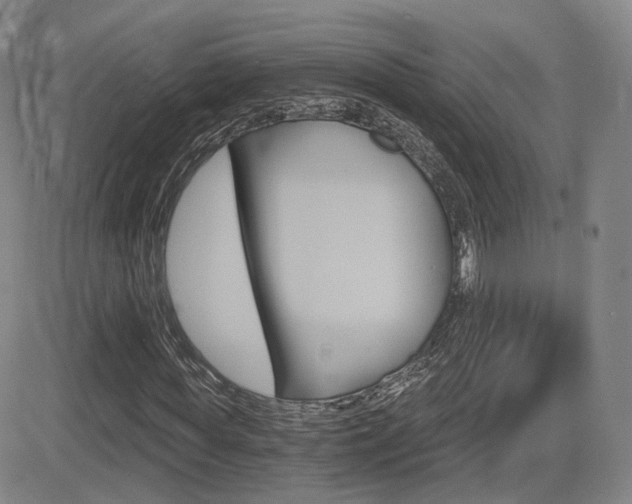 X0000084570819200702230907