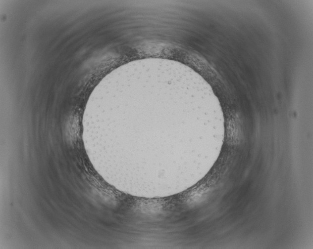 X0000084570820200702230907
