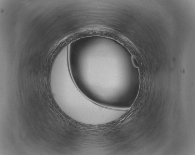 X0000084570822200702230907