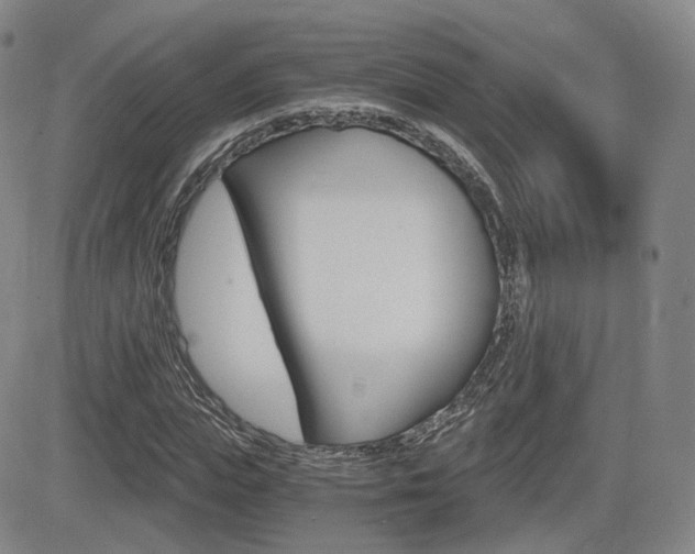 X0000084570823200702230907