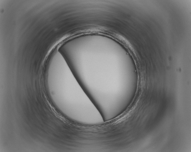 X0000084570827200702230907