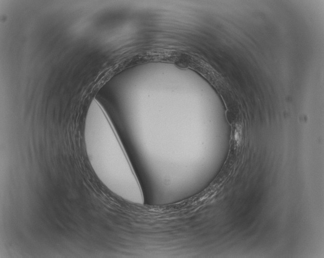 X0000084570867200702230907