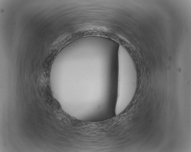 X0000084570869200702230907