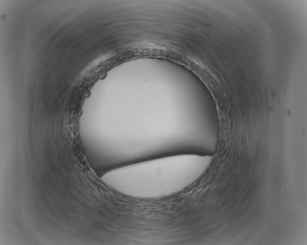 X0000084570870200702230907