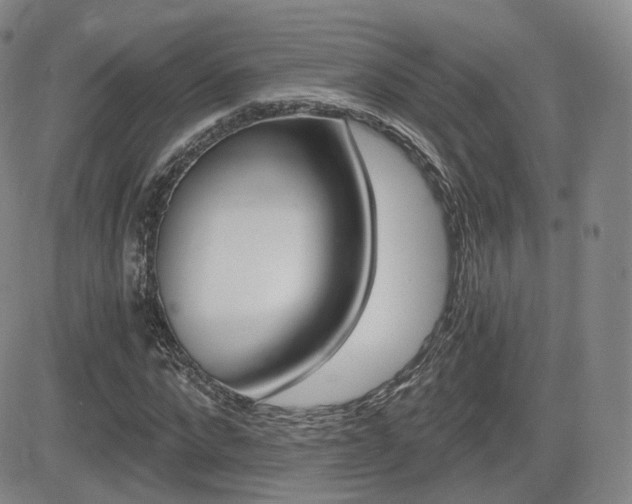 X0000084570872200702230907