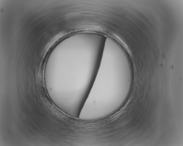 X0000084570883200702230907