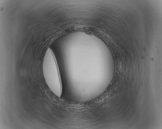 X0000084570914200702230905