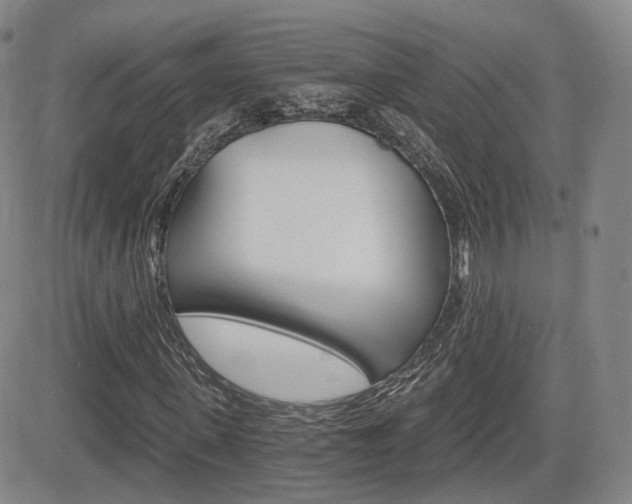 X0000084570915200702230905