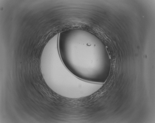 X0000084570916200702230905
