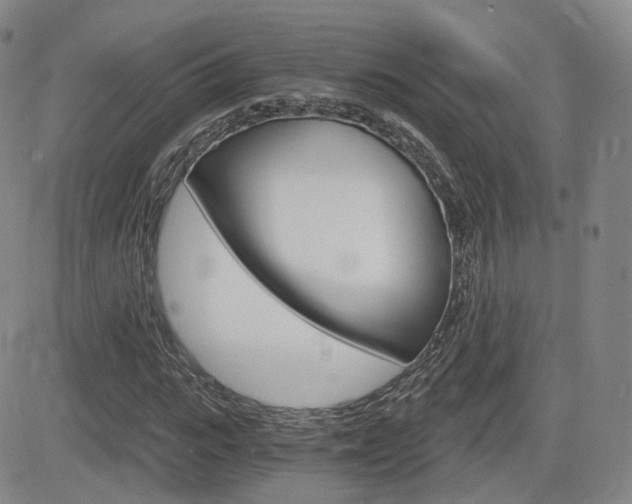 X0000084570919200702230906