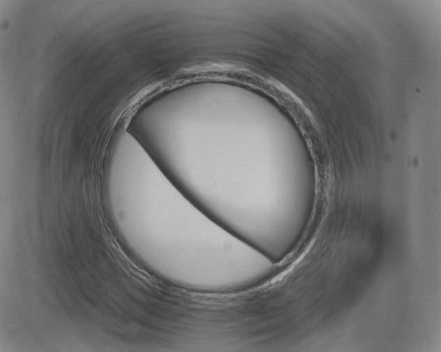 X0000084570921200702230906
