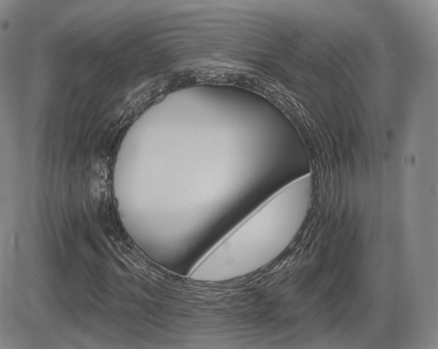X0000084570964200702230905