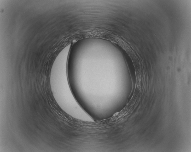 X0000084571010200702230904