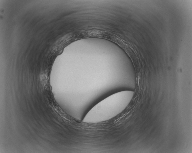 X0000084571011200702230904