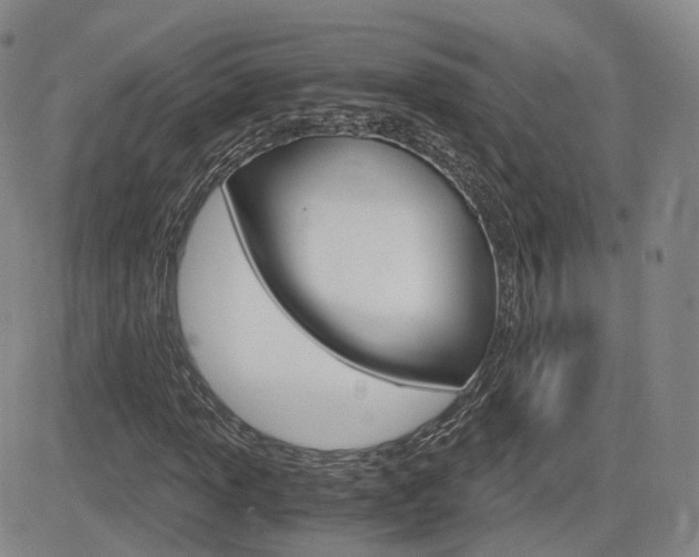 X0000084571013200702230904