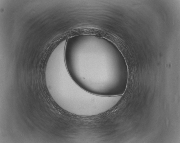 X0000084571014200702230904