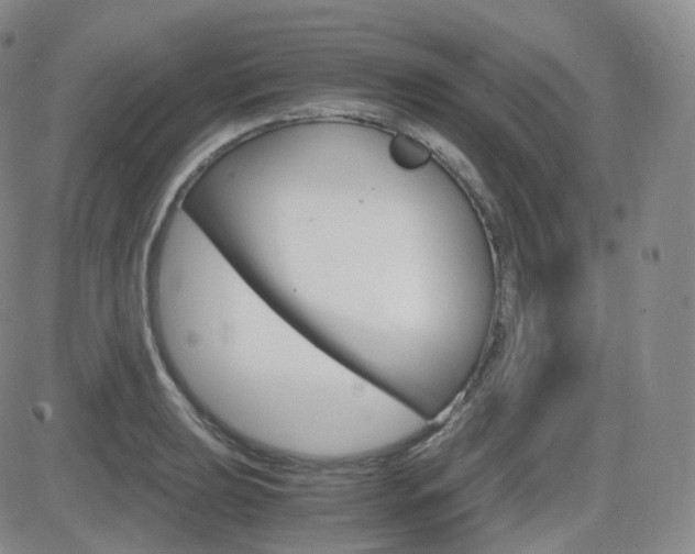 X0000084571039200702230904