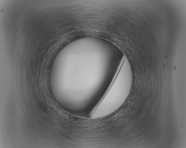 X0000084571057200702230904
