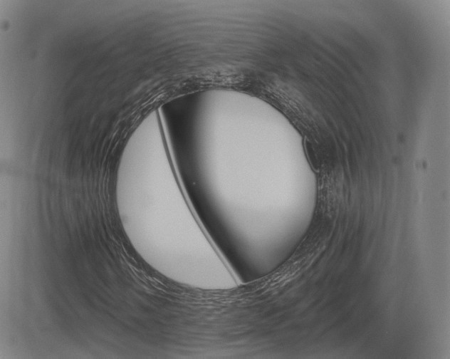X0000084571058200702230904