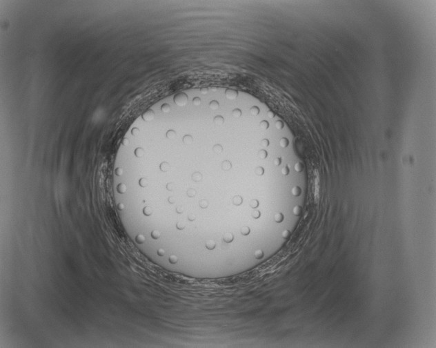 X0000084571059200702230904