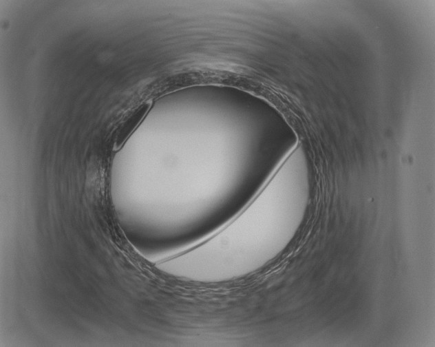 X0000084571061200702230904