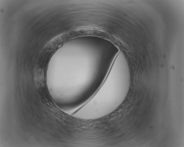 X0000084571062200702230904