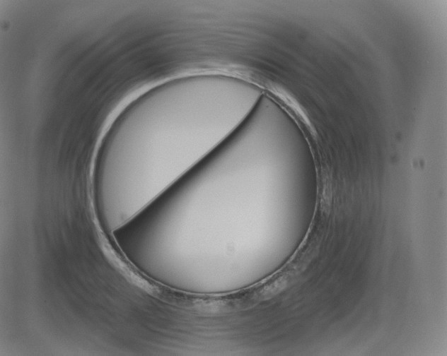 X0000084571080200702230903