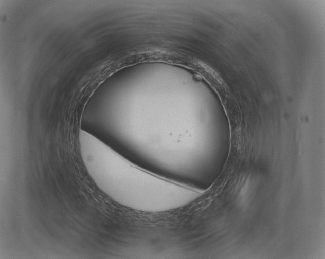 X0000084571111200702230902