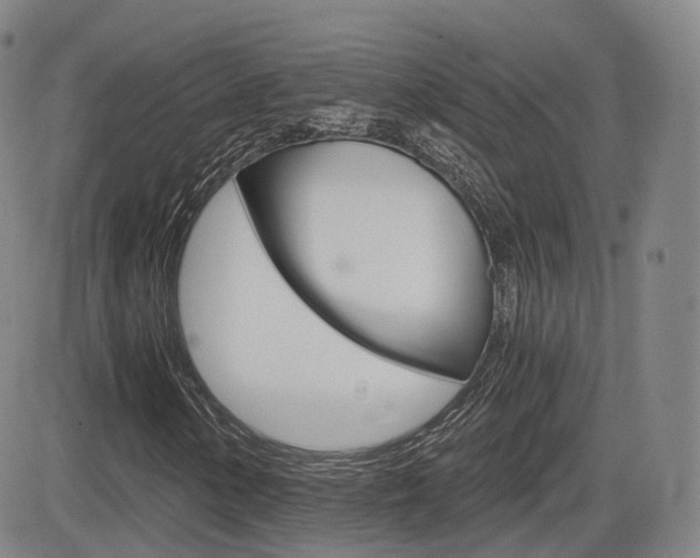 X0000084571154200702230902