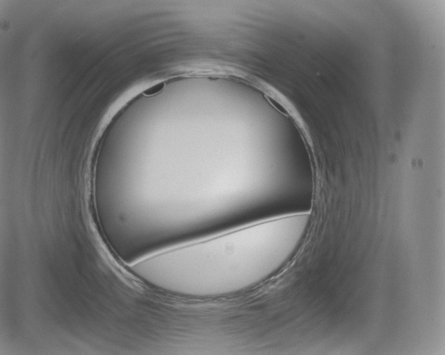 X0000084571195200702230901