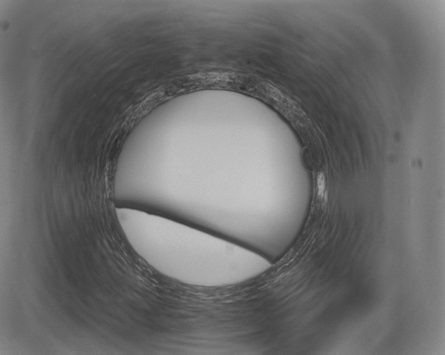 X0000084571203200702230901