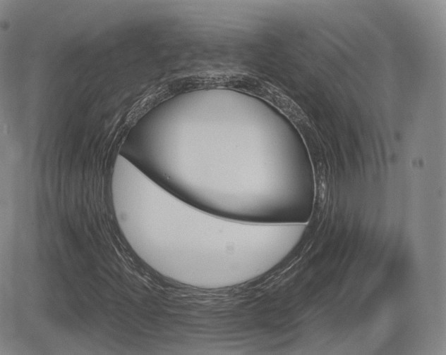 X0000084571204200702230901
