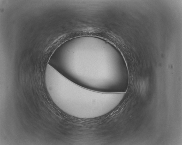 X0000084571205200702230901
