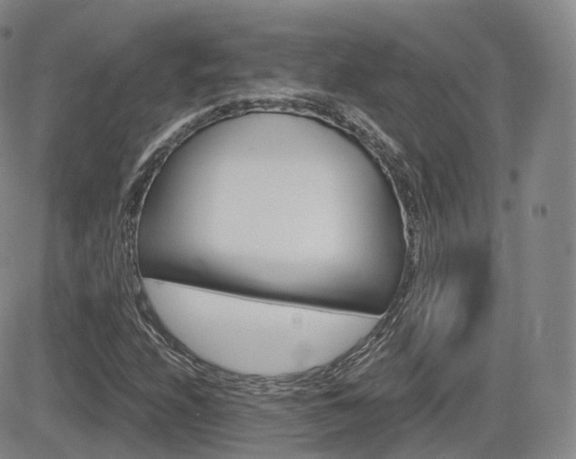 X0000084571208200702230901