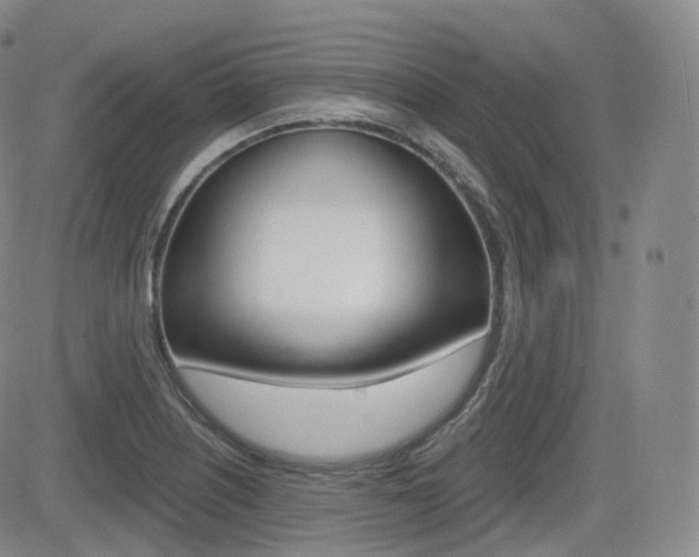 X0000084571226200702230901