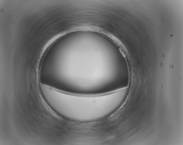 X0000084571238200702230901