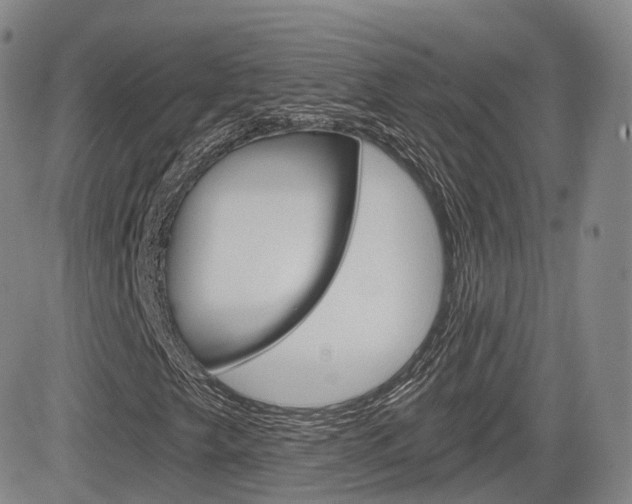 X0000084571249200702230901